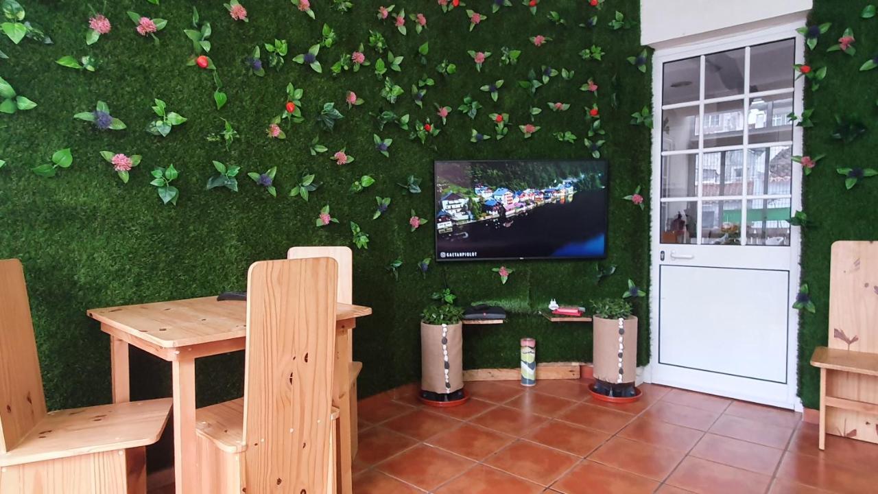 Hostel Bruma